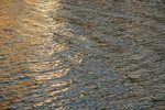 Last light reflections on Murray River near Cadell