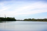 Looking up river from the Cadell Ferry