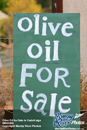 Olive Oil for Sale in Cadell sign