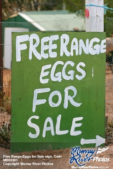 Free Range Eggs for Sale sign, Cadell