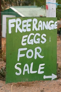 Free Range Eggs for Sale sign, Cadell