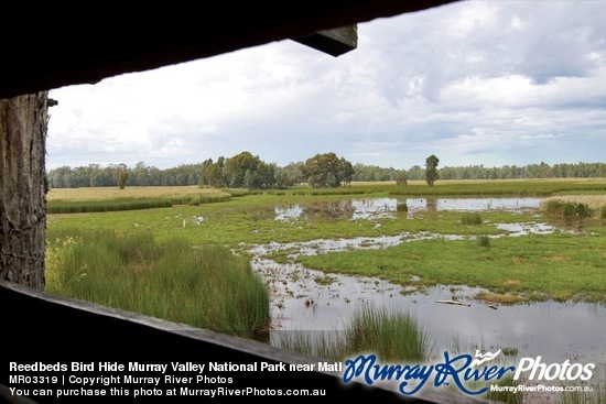 Reedbeds Bird Hide Murray Valley National Park near Mathoura