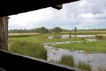 Reedbeds Bird Hide Murray Valley National Park near Mathoura