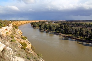 Big Bend lookout near Nildotte