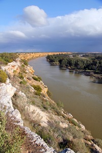 Big Bend lookout near Nildotte