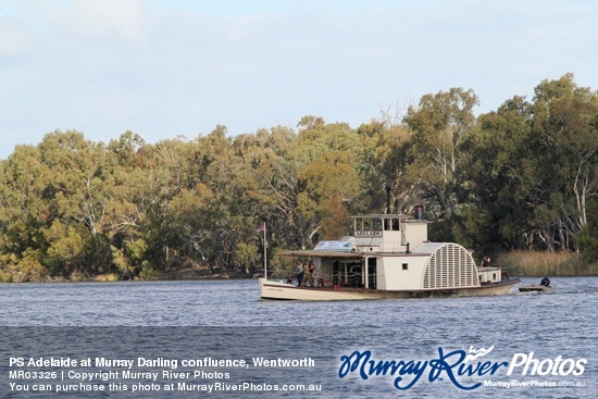 PS Adelaide at Murray Darling confluence, Wentworth