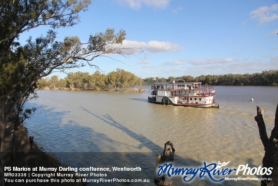 PS Marion at Murray Darling confluence, Wentworth