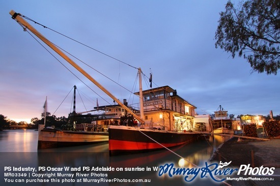 PS Industry, PS Oscar W and PS Adelaide on sunrise in Wentworth