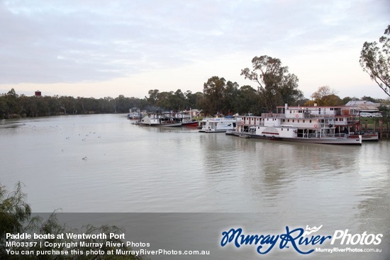 Paddle boats at Wentworth Port