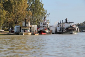 PS Adelaide, PS Industry and PS Oscar W in Wentworth