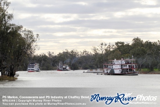 PS Marion, Coonawarra and PS Industry at Chaffey Bend, Mildura