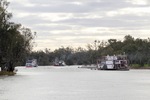 PS Marion, Coonawarra and PS Industry at Chaffey Bend, Mildura