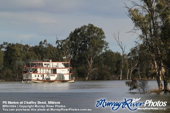 PS Marion at Chaffey Bend, Mildura