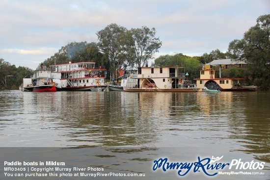 Paddle boats in Mildura