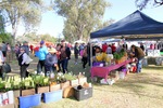 Mildura Farmers Markets