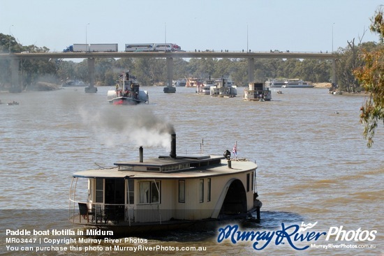 Paddle boat flotilla in Mildura