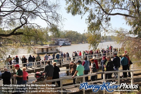 Crowds enjoying the Melbourne Flotilla