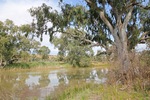 Lagoon near Big Bend