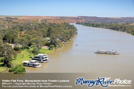 Walker Flat Ferry, Murraylands from Forster Lookout