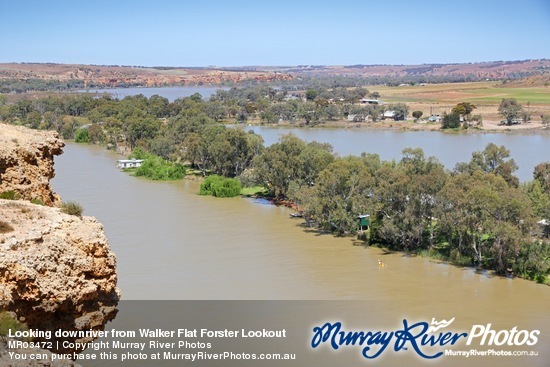 Looking downriver from Walker Flat Forster Lookout