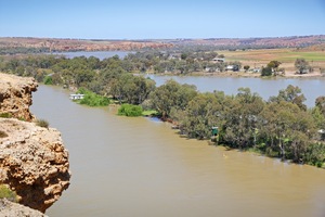 Looking downriver from Walker Flat Forster Lookout