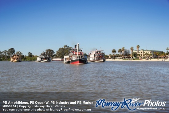 PB Amphibious, PS Oscar W, PS Industry and PS Marion leaving Renmark for Mildura