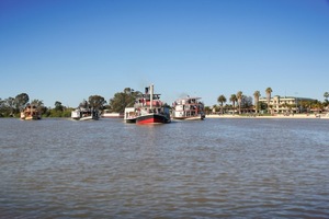 PB Amphibious, PS Oscar W, PS Industry and PS Marion leaving Renmark for Mildura