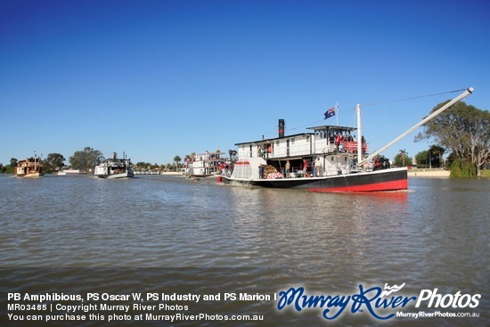 PB Amphibious, PS Oscar W, PS Industry and PS Marion leaving Renmark for Mildura