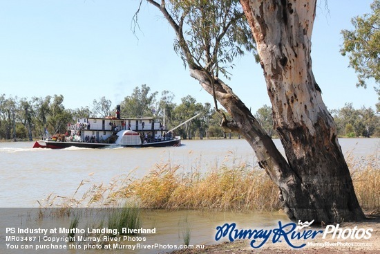 PS Industry at Murtho Landing, Riverland