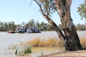 PS Industry at Murtho Landing, Riverland