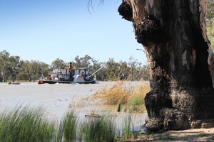 PS Industry at Murtho Landing, Riverland