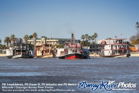 PB Amphibious, PS Oscar W, PS Industry and PS Marion leaving Renmark for Mildura