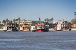 PB Amphibious, PS Oscar W, PS Industry and PS Marion leaving Renmark for Mildura