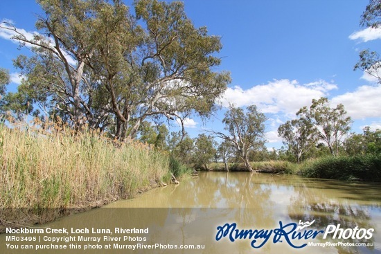 Nockburra Creek, Loch Luna, Riverland