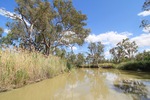 Nockburra Creek, Loch Luna, Riverland