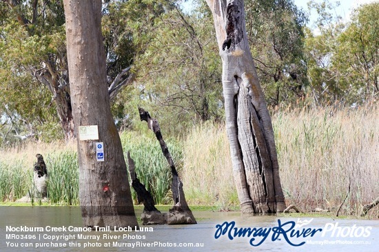 Nockburra Creek Canoe Trail, Loch Luna