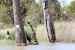 Nockburra Creek Canoe Trail, Loch Luna