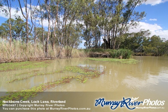 Nockburra Creek, Loch Luna, Riverland