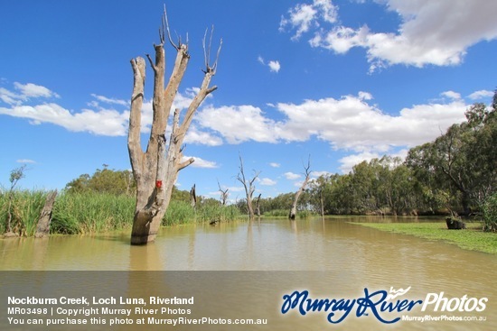 Nockburra Creek, Loch Luna, Riverland