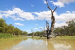 Nockburra Creek, Loch Luna, Riverland