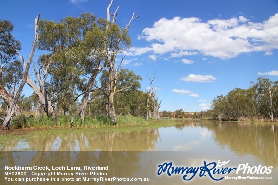 Nockburra Creek, Loch Luna, Riverland