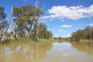 Nockburra Creek, Loch Luna, Riverland