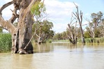 Nockburra Creek, Loch Luna, Riverland