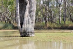 Nockburra Creek, Loch Luna, Riverland