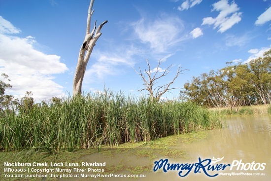 Nockburra Creek, Loch Luna, Riverland