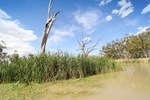 Nockburra Creek, Loch Luna, Riverland