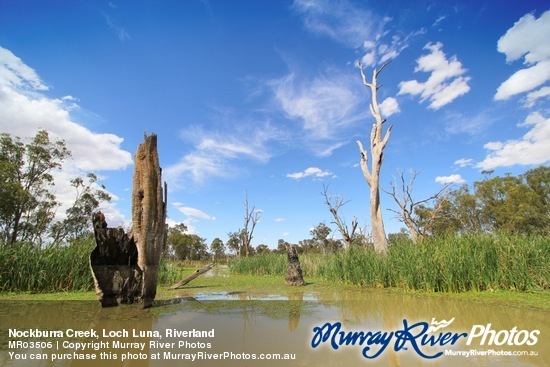 Nockburra Creek, Loch Luna, Riverland