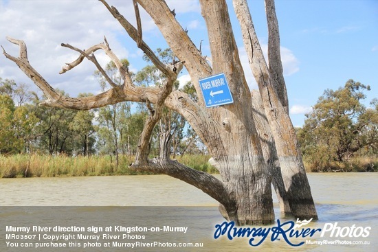 Murray River direction sign at Kingston-on-Murray