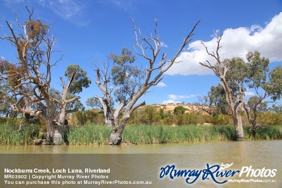 Nockburra Creek, Loch Luna, Riverland