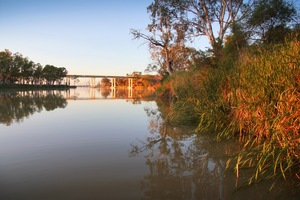 Kingston-on-Murray Bridge on sunrise